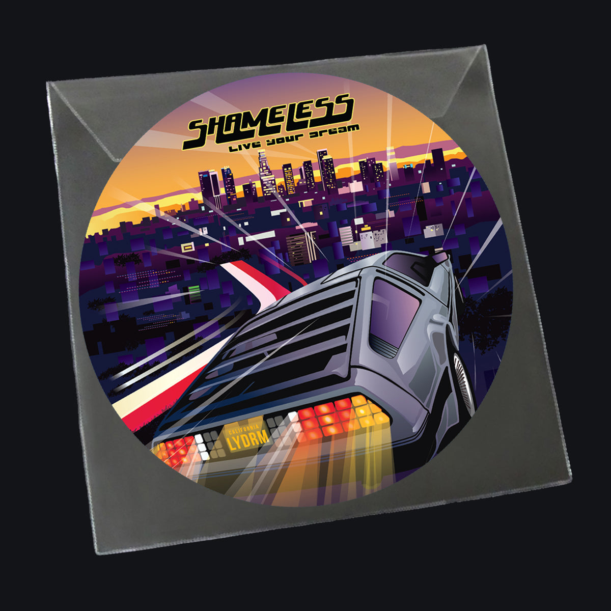 ShamelessPicDisc-